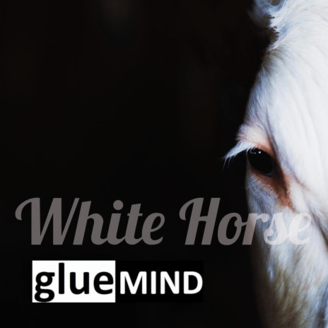 White Horse ft. Juan Pedro Pirretas Krohn | Boomplay Music