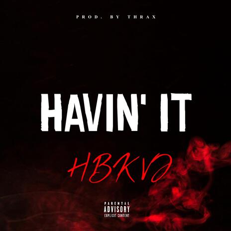 HAVIN' IT | Boomplay Music