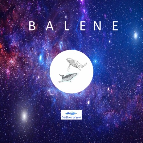 Balaenidae | Boomplay Music