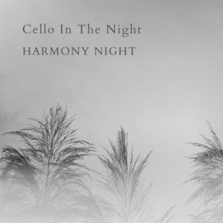 Cello In The Night