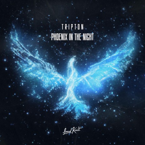 Phoenix In The Night ft. Jonas Benedikt Lemke | Boomplay Music