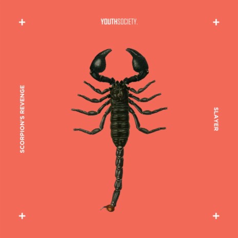 Scorpion's Revenge | Boomplay Music