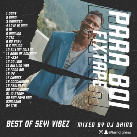 Para Boi Fixtape Best of Seyi Vibez | Boomplay Music
