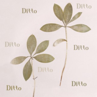 Ditto (Piano Solo Version)
