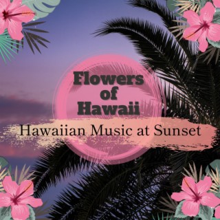 Hawaiian Music at Sunset