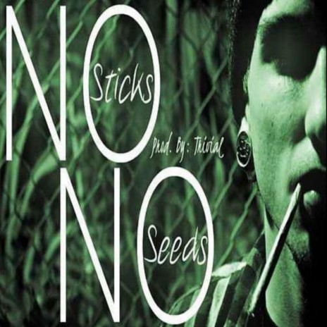 No Sticks No Seeds ft. Trivial Prod. | Boomplay Music