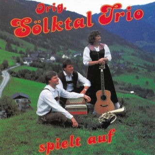 Original Sölktal Trio spielt auf