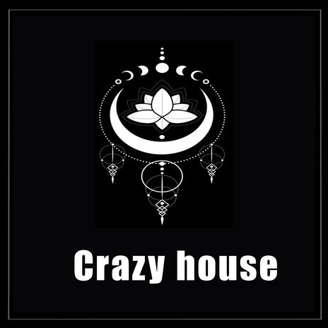 Crazy House | Boomplay Music