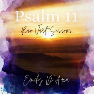 Psalm 11 The Rav Vast Sessions