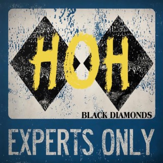 Black Diamonds lyrics | Boomplay Music