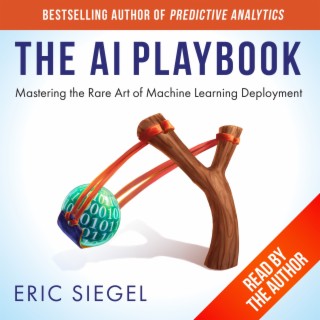 The AI Playbook – book launch, early reviews, FAQ