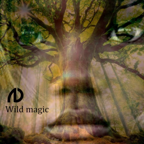 Wild Magic