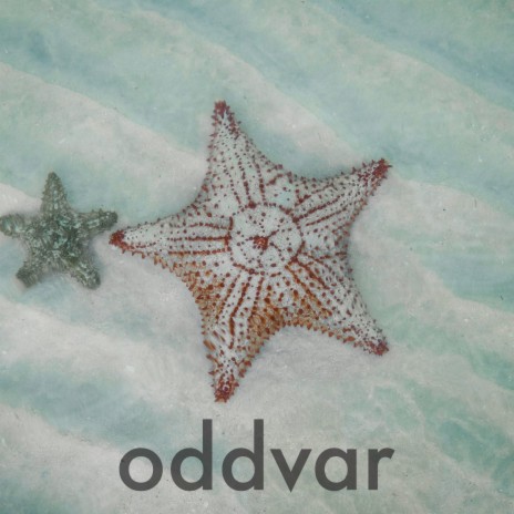 Oddvar | Boomplay Music