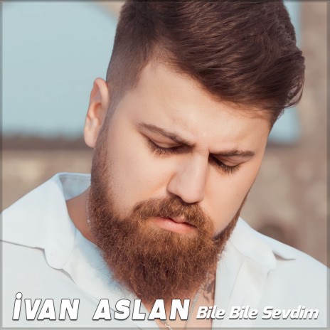 Bile Bile Sevdim | Boomplay Music