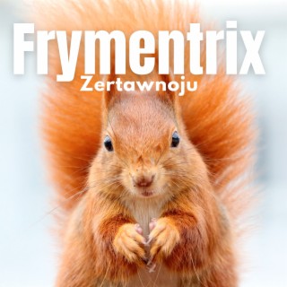 frymentrix