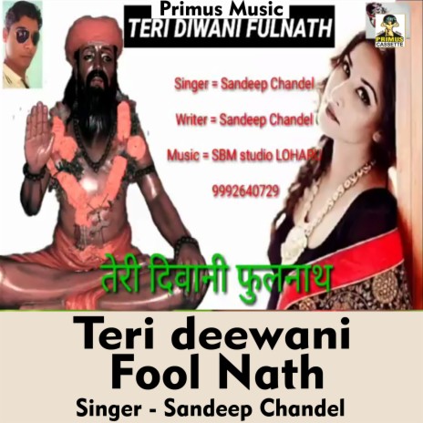 Sandeep Chandel - Teri Deewani Fool Nath (Hindi Song) MP3 Download & Lyrics  | Boomplay