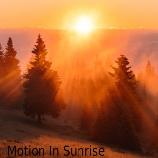 Motion In Sunrise