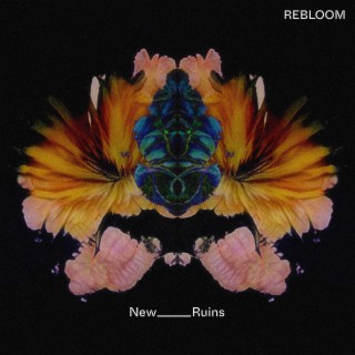 New Ruins