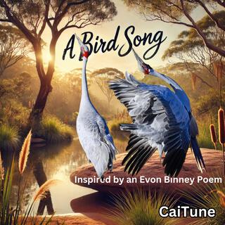 A Bird Song