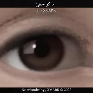 ماكو خطئ There is no mistake