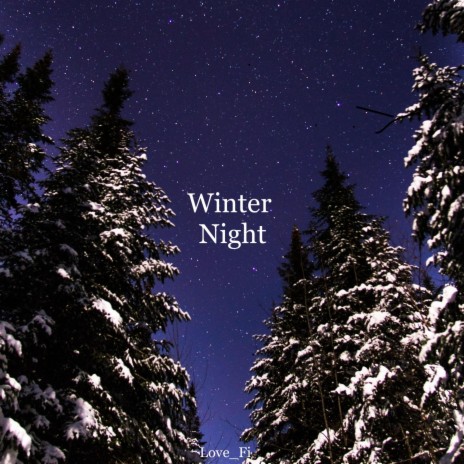 Winter Night