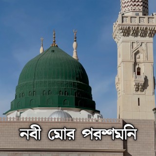 নবী মোর পরশমনি