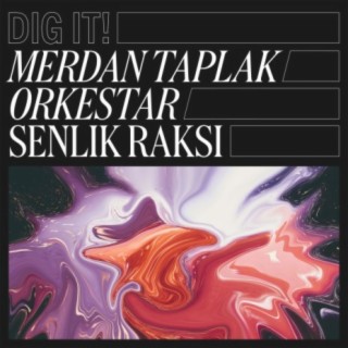 Merdan Taplak Orkestar