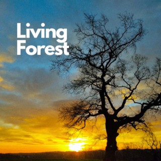 Living Forest