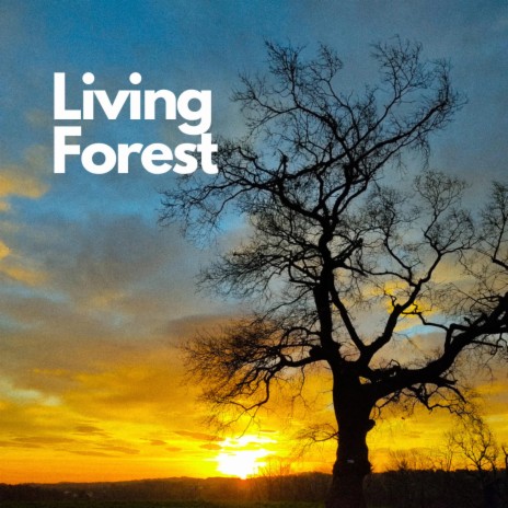 Living Forest | Boomplay Music
