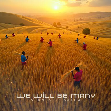 We will be many ft. Lawrence Oyor & Moses Akoh | Boomplay Music