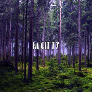 Nocitty