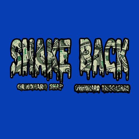 Shake Back | Boomplay Music