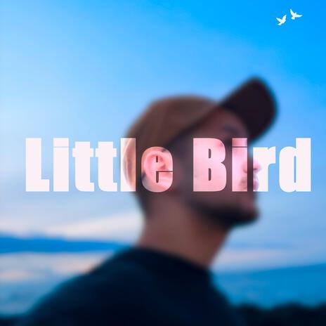 Little Bird | Boomplay Music