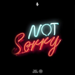 Not Sorry lyrics | Boomplay Music