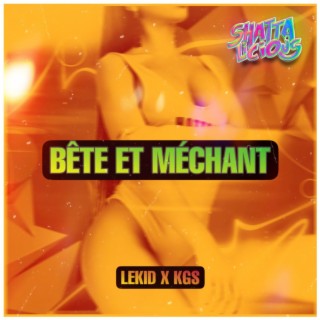 Bête et Méchant (Shattalicious Part.1) ft. KGS lyrics | Boomplay Music
