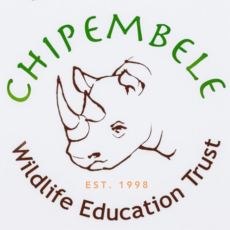 Chipembele theme song | Boomplay Music