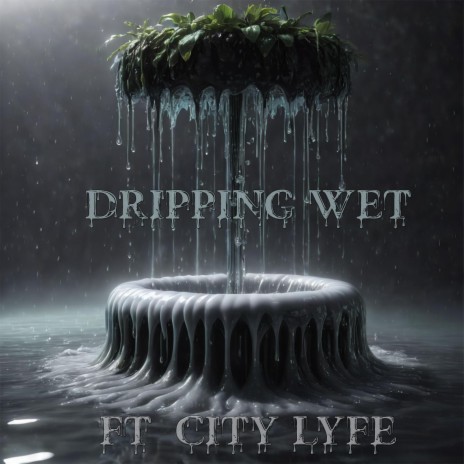 Dripping Wet (Radio Edit) ft. City Lyfe | Boomplay Music