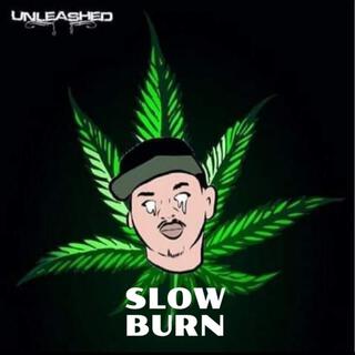 SLOW BURN