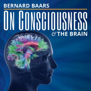 On Consciousness & the Brain with Bernard Baars