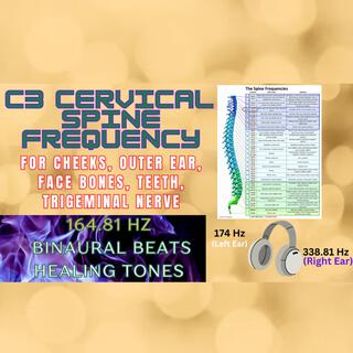 C3 Cervical Spine Frequency: 164.81 Hz