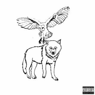 Wolves. lyrics | Boomplay Music