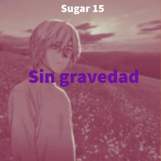 Sin gravedad