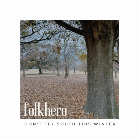 Don't Fly South This Winter | Boomplay Music