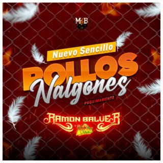 Pollos Nalgones lyrics | Boomplay Music
