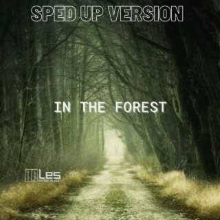 In the forest (sped up version)