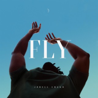 FLY lyrics | Boomplay Music