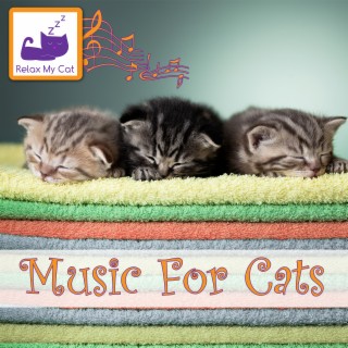 Music for Cats