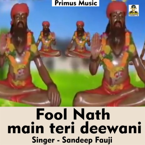 Fool Nath Main Teri Deewani (Hindi Song) | Boomplay Music