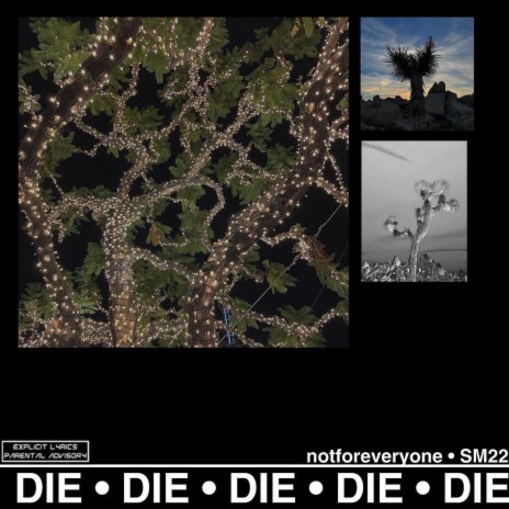 DIE