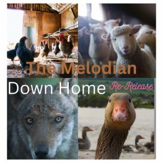 Down Home Re-release